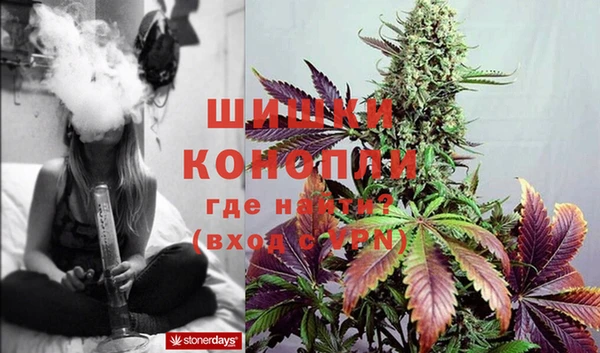 дмт Аркадак