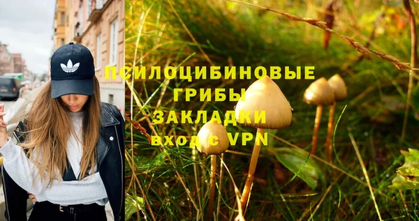 герыч Арсеньев