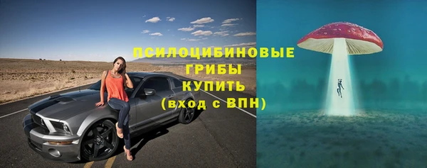 герыч Арсеньев