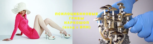 Альфа ПВП Армянск