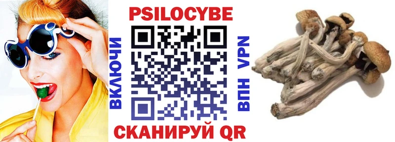 Галлюциногенные грибы Cubensis  сколько стоит  Бабушкин 